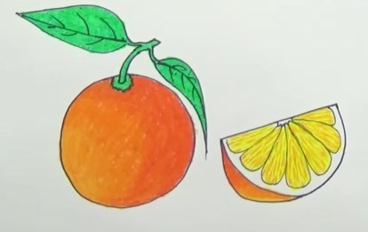 Vẽ quả cam